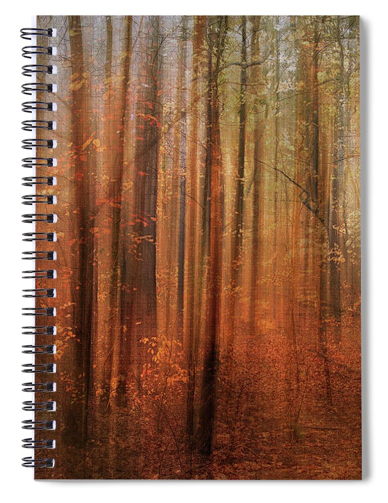 Photography Spiral Notebook featuring the digital art Forest Dream by Terry Davis