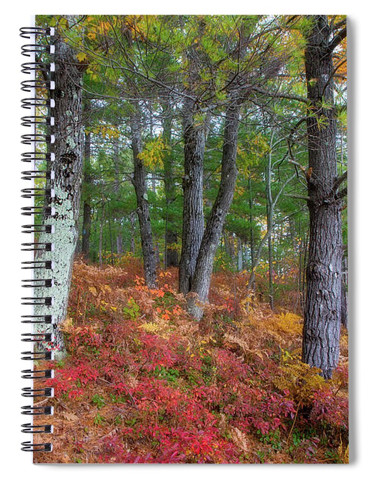 Michigan Spiral Notebook featuring the photograph Forest Floor in Autumn by Robert Carter