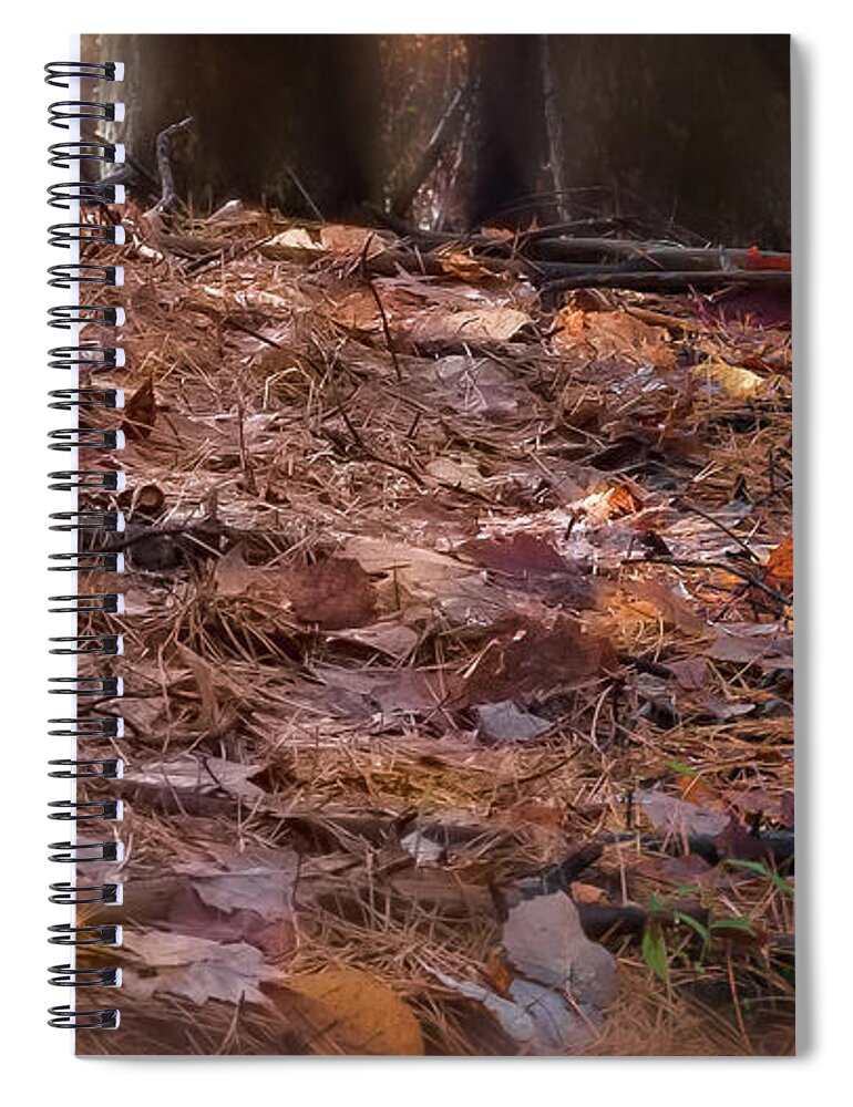 Autumn Spiral Notebook featuring the photograph Forest Floor - by Julie Weber
