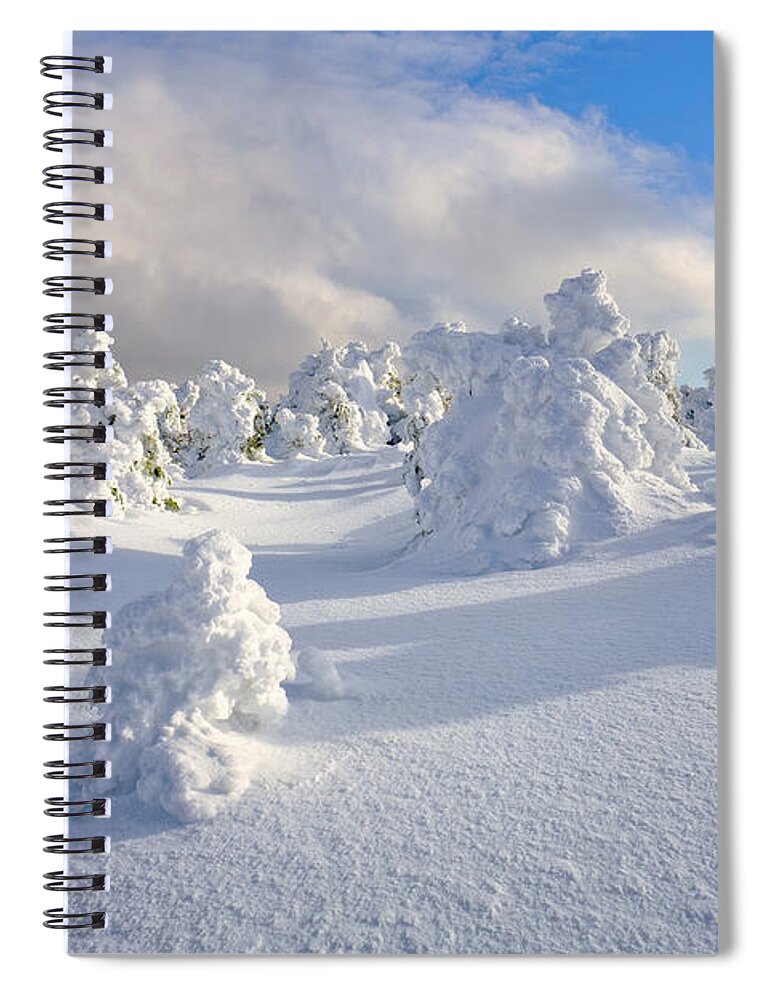 New Hampshire Spiral Notebook featuring the photograph Rime and Shadow. by Jeff Sinon
