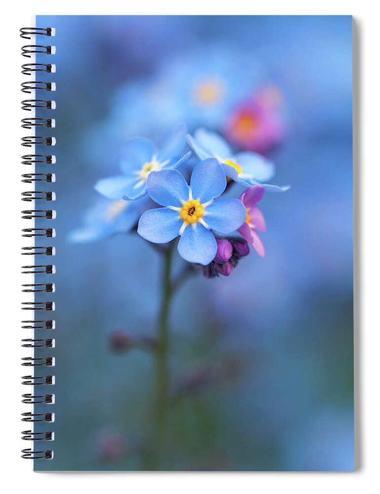 Forget-me-not Spiral Notebook featuring the photograph Forget Me Not by Maria Meester