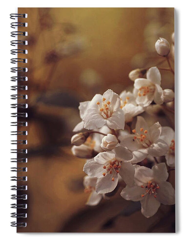  Spiral Notebook featuring the photograph Forgotten Dreams by Jenny Rainbow