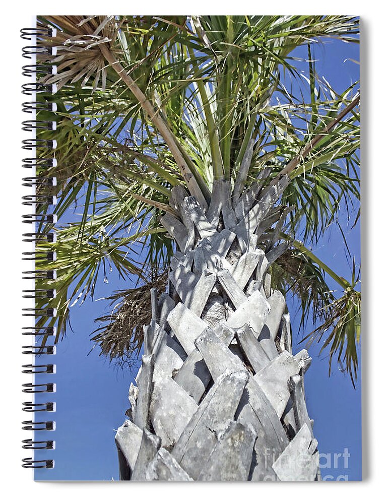 Fortified Foundation Spiral Notebook featuring the photograph Fortified Foundation Palm by Roberta Byram