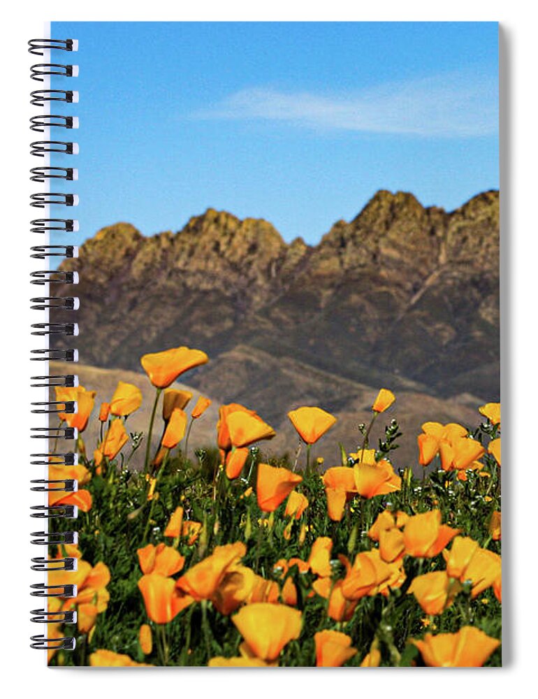 Four Peaks Spiral Notebook featuring the photograph Four Peaks in Spring by Bonny Puckett