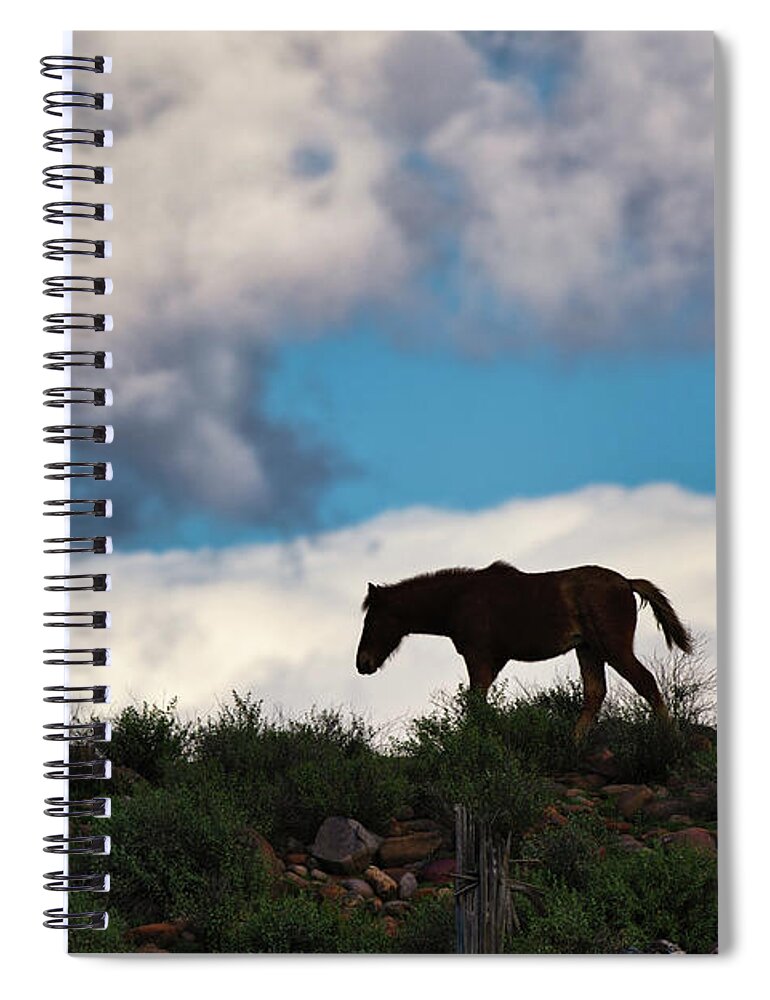 Cute Yearling Spiral Notebook featuring the photograph Free by Shannon Hastings