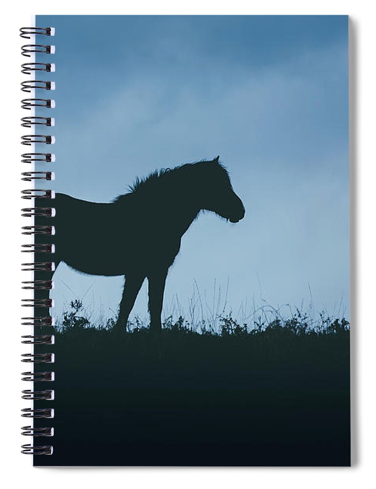 Horse Spiral Notebook featuring the photograph Free Spirit - Horse Art by Lisa Saint