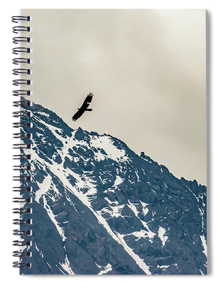 Above Spiral Notebook featuring the photograph Free to Soar by Marcy Wielfaert