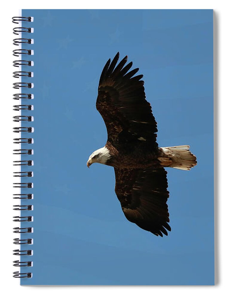 Alophoto1 Spiral Notebook featuring the photograph Freedom by Anita Oakley