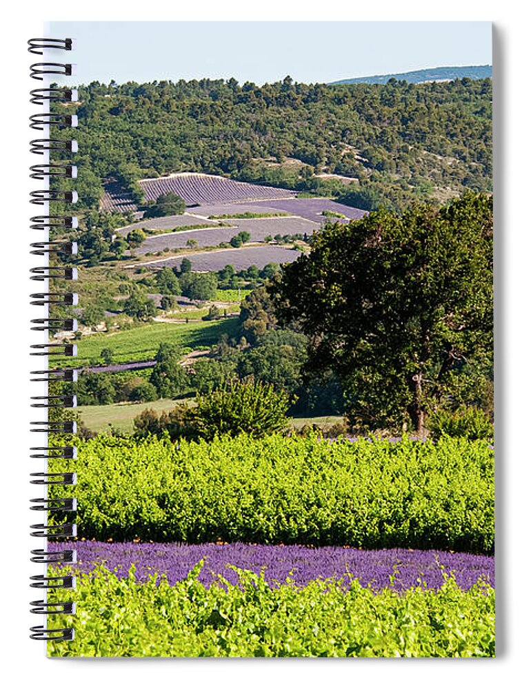 Provence Spiral Notebook featuring the photograph French Lavender Farms in Provence Three by Bob Phillips