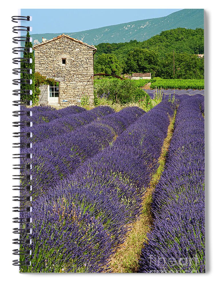 Saignon Spiral Notebook featuring the photograph French Stone Farmhouse on a Lavender Farm One by Bob Phillips