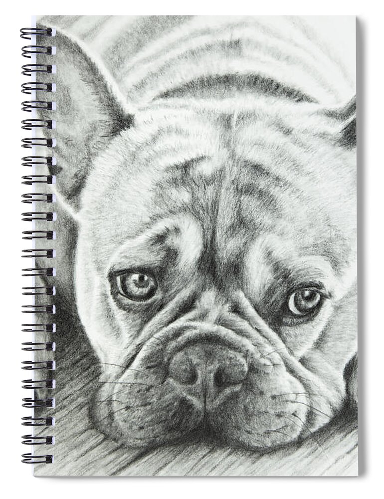 Bulldog Spiral Notebook featuring the drawing Frenchie by Kirsty Rebecca