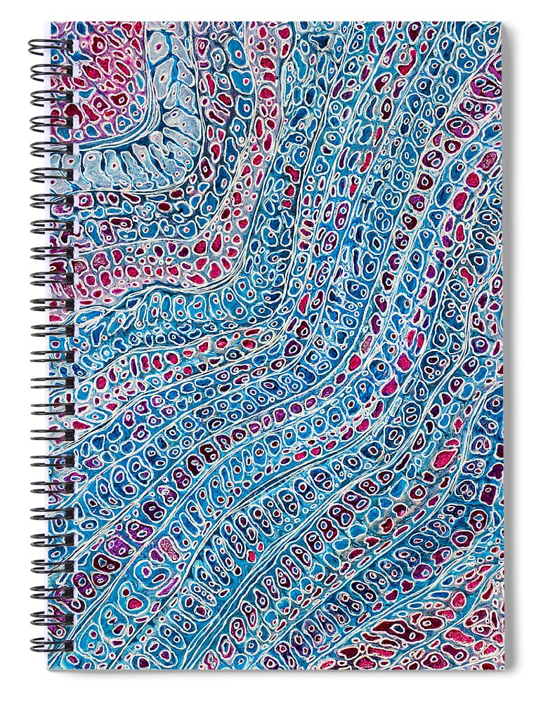 Painting Spiral Notebook featuring the painting Frequency by Iryna Goodall
