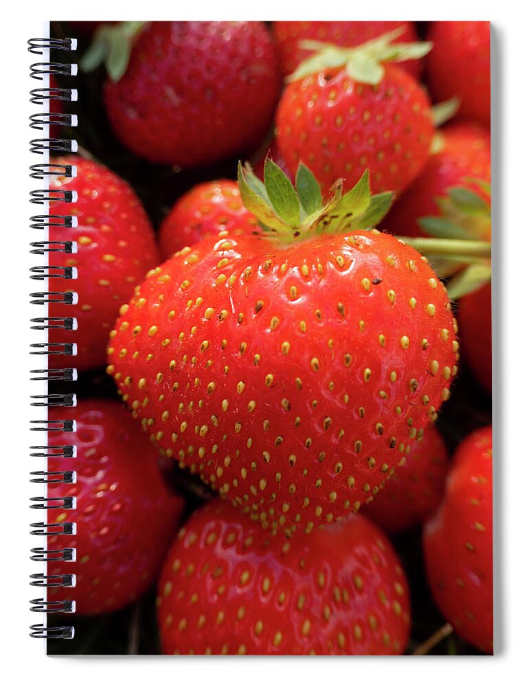 Strawberries Spiral Notebook featuring the photograph Fresh Strawberries by Karen Rispin