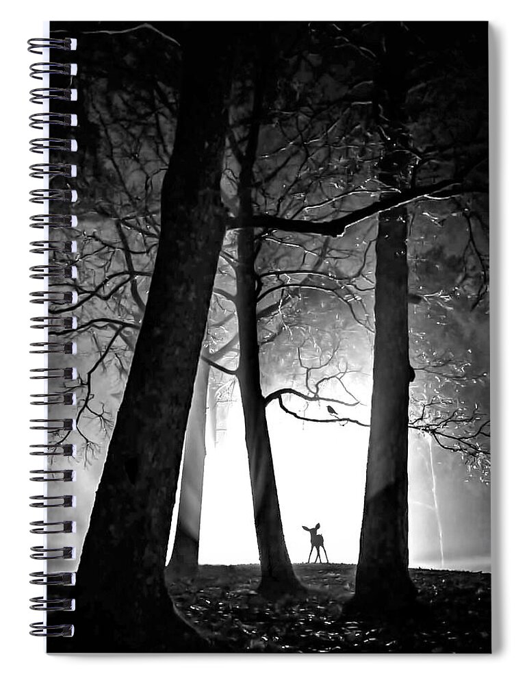 Fine Art Spiral Notebook featuring the photograph Friendship II by Sofie Conte