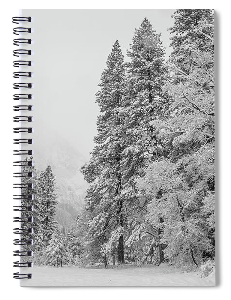 Landscape Spiral Notebook featuring the photograph Frigid by Jonathan Nguyen
