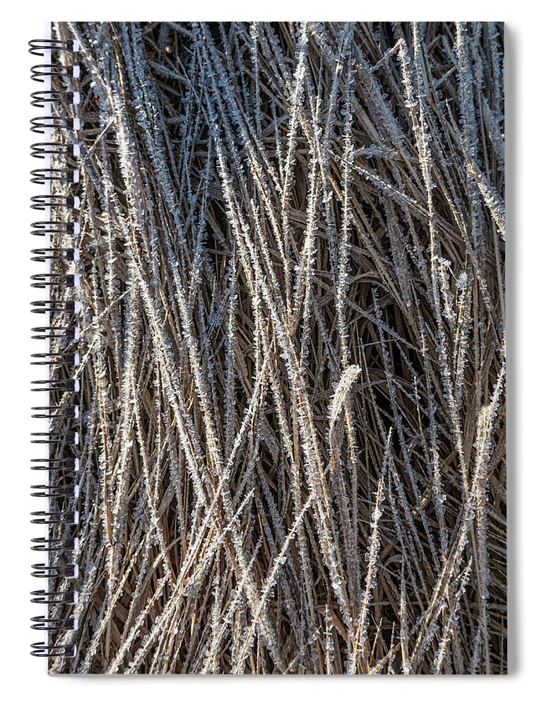 Frost Spiral Notebook featuring the photograph Frost On Grass by Karen Rispin