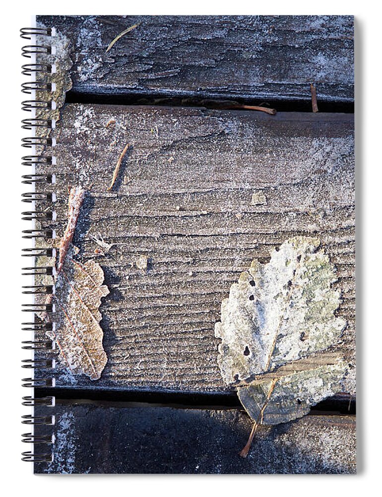 Desautel Spiral Notebook featuring the digital art Frosty Morning by David Desautel