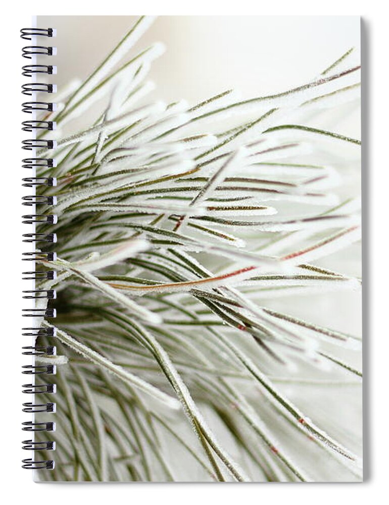 Branch Spiral Notebook featuring the photograph Frosty Needles by Lens Art Photography By Larry Trager