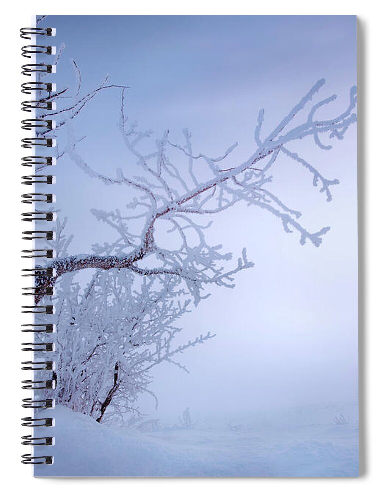 Landscape Spiral Notebook featuring the photograph Frosty Prairie Morning by Dan Jurak