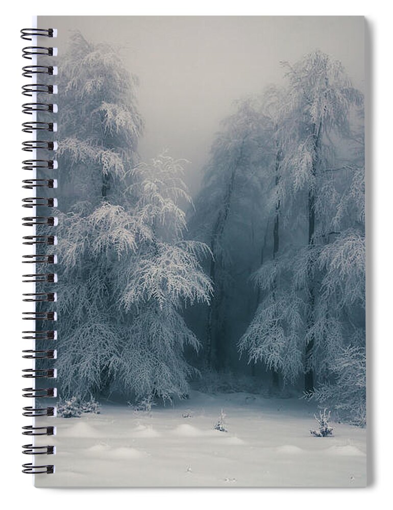 Mountain Spiral Notebook featuring the photograph Frozen Forest by Evgeni Dinev