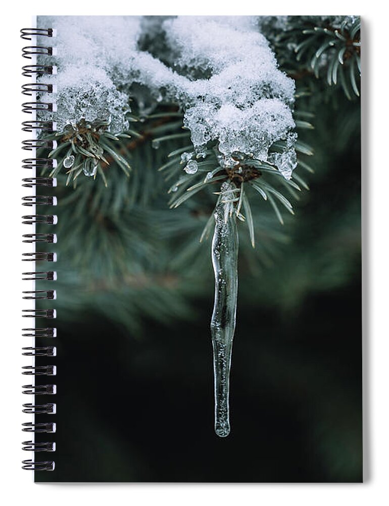 Pine Spiral Notebook featuring the photograph Frozen Pine by Kim Sowa