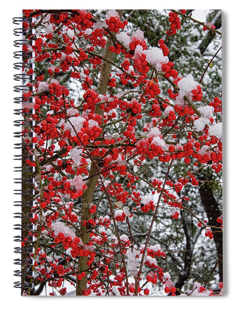 Georgetown Spiral Notebook featuring the photograph Frozen Possumhaw Berries by Bob Phillips