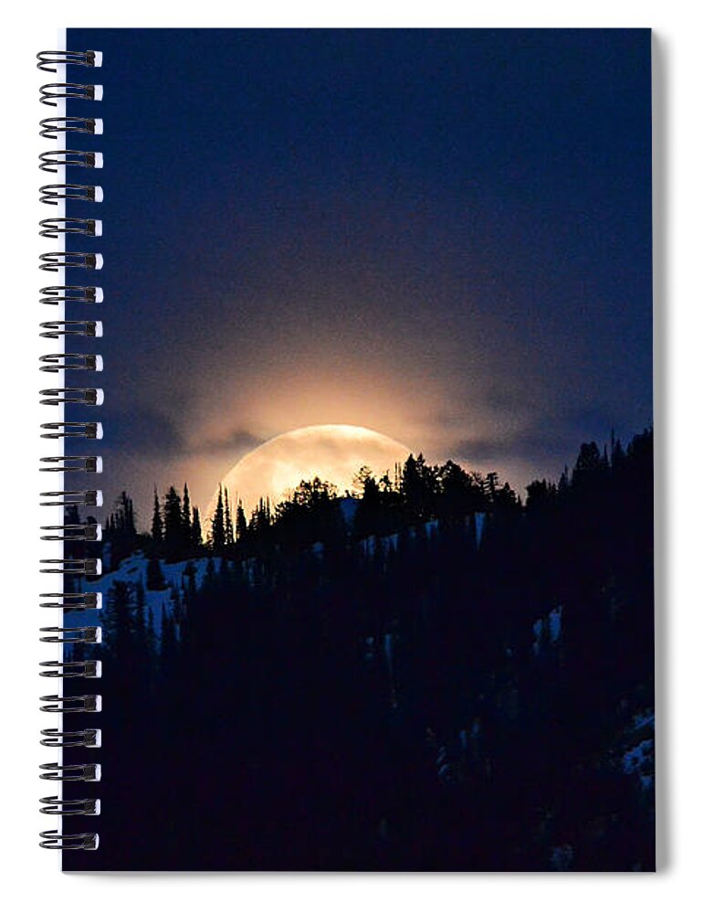 Full Moon Spiral Notebook featuring the photograph Full Flower Moon #4 by Dorrene BrownButterfield