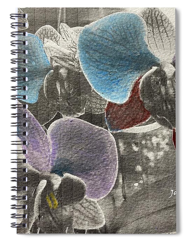 Color Enhanced Orchids St Augustine Florida Usa Spiral Notebook featuring the mixed media Fun Stuff 2 by John Anderson