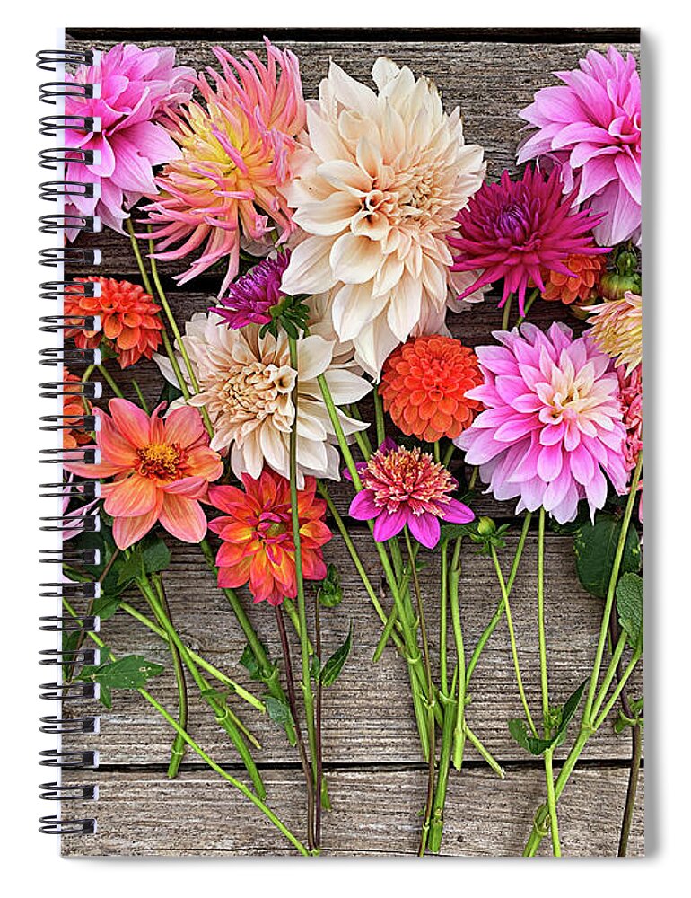 Dahlia Spiral Notebook featuring the photograph Garden Dahlias by Jill Love