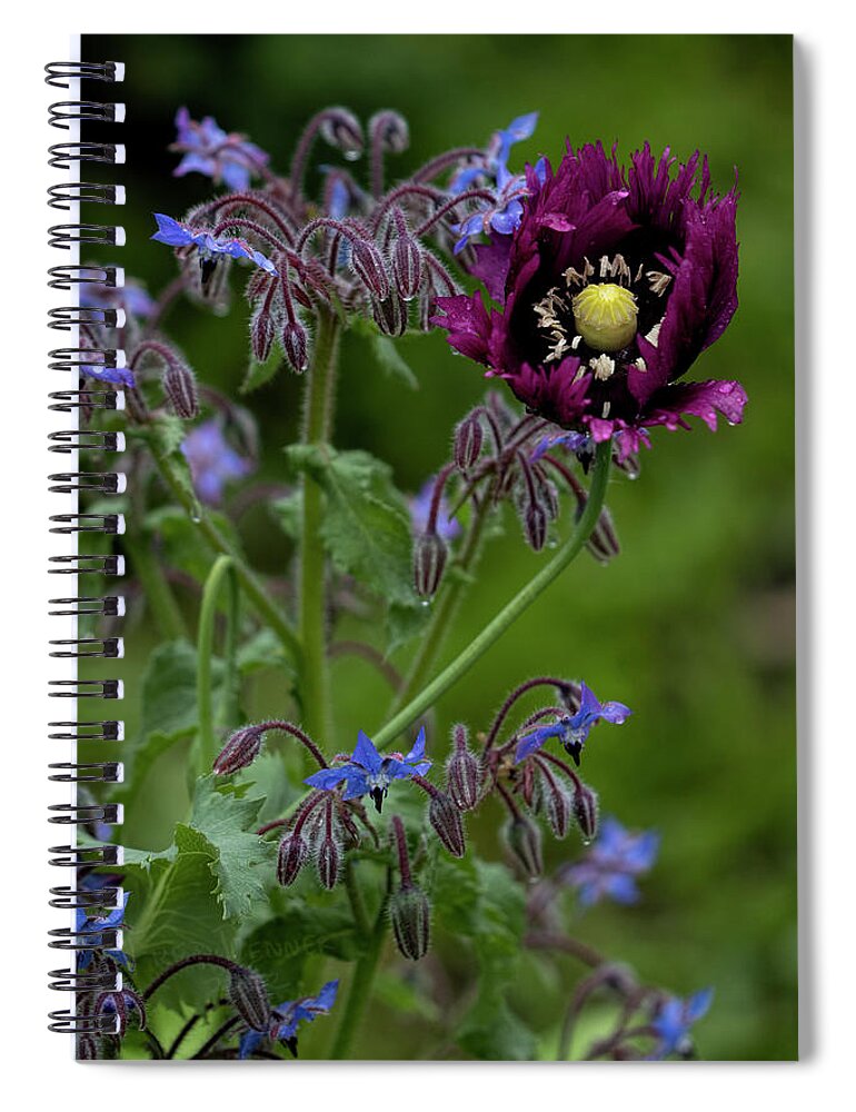 Flowers Spiral Notebook featuring the photograph Garden Goodness by Fred Denner