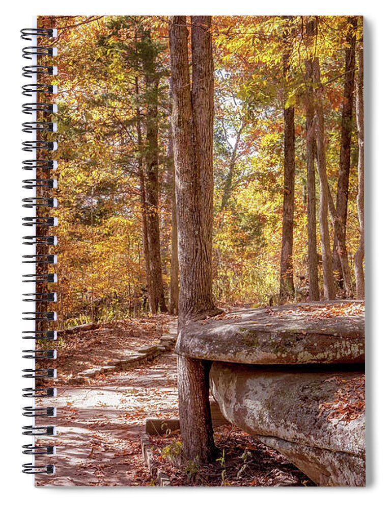 Garden Of The Gods Spiral Notebook featuring the photograph Garden of the Gods - Camel Rock Trail in Autumn by Susan Rissi Tregoning