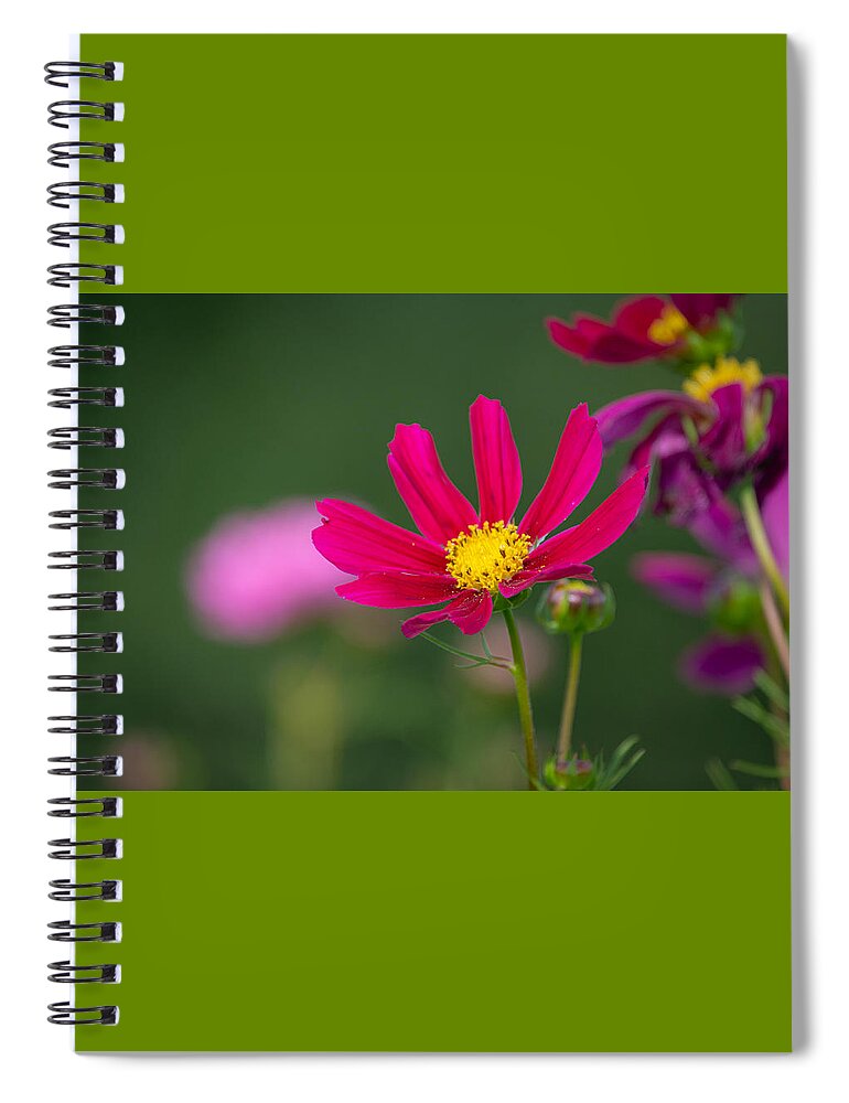 Flower Spiral Notebook featuring the photograph Garden Pink by Linda Bonaccorsi