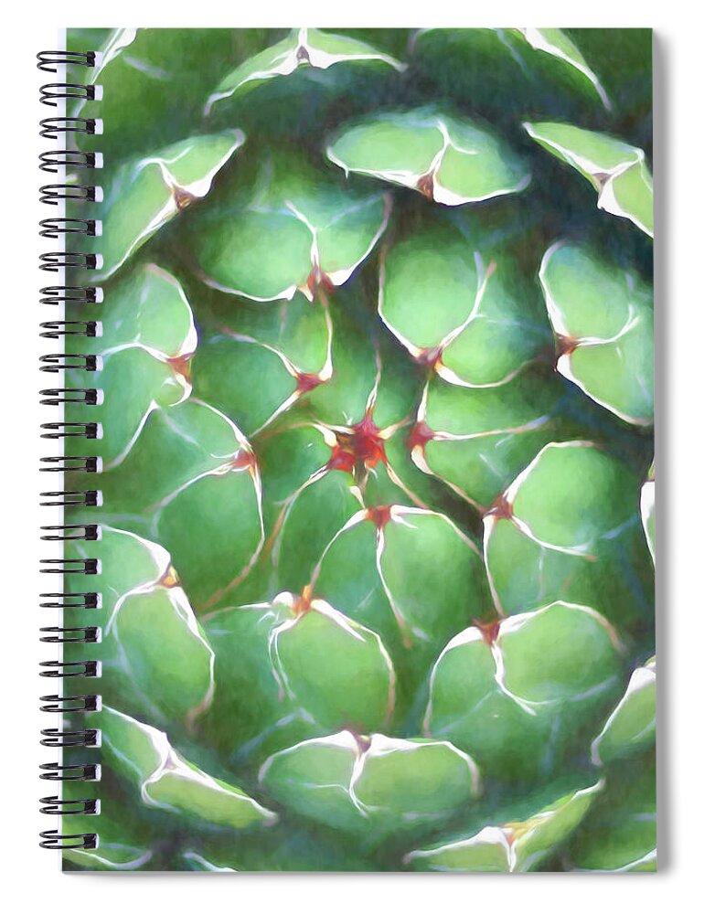 Watercolor Spiral Notebook featuring the photograph Garden Succulent Botanicals III Watercolors by Debra and Dave Vanderlaan