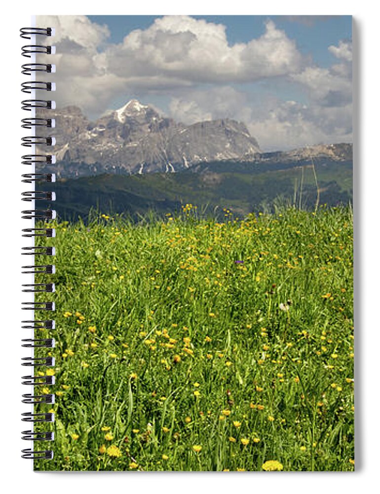 Gardena Spiral Notebook featuring the photograph Gardena Summer Poppies by Norma Brandsberg