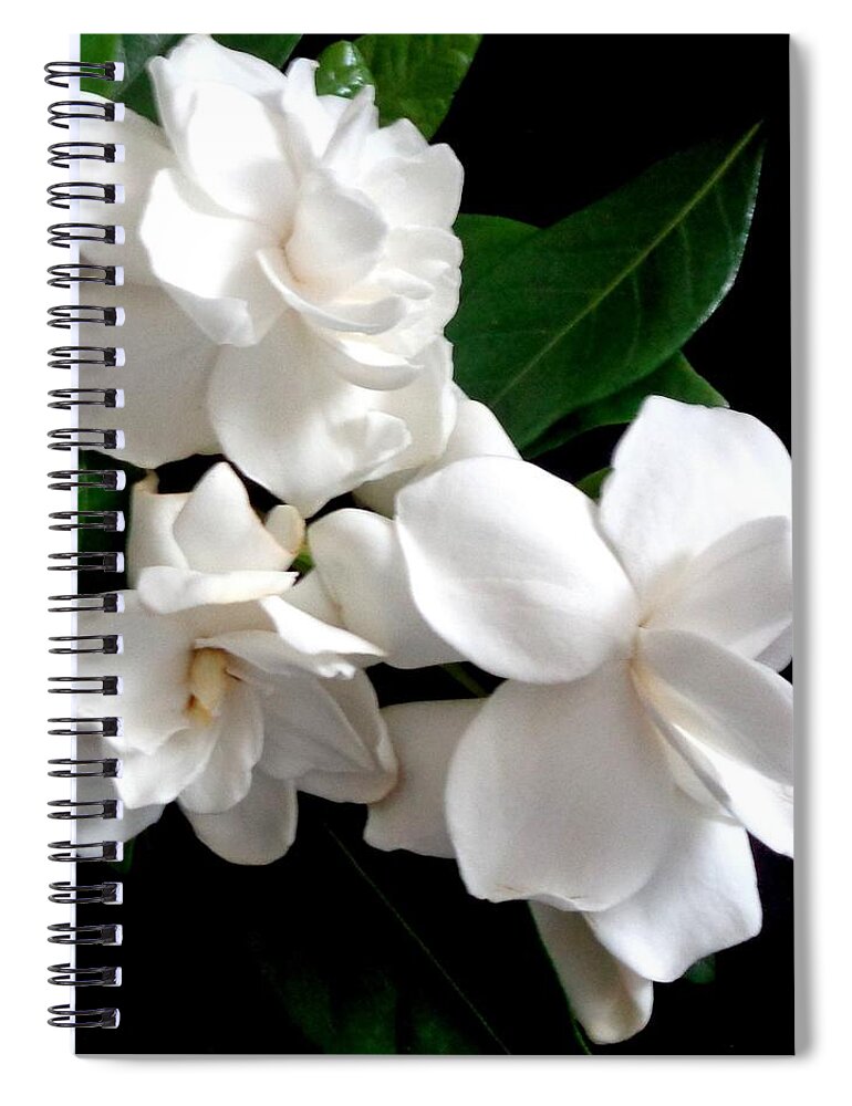 Gardenias Spiral Notebook featuring the photograph Gardenias - A Posy by VIVA Anderson
