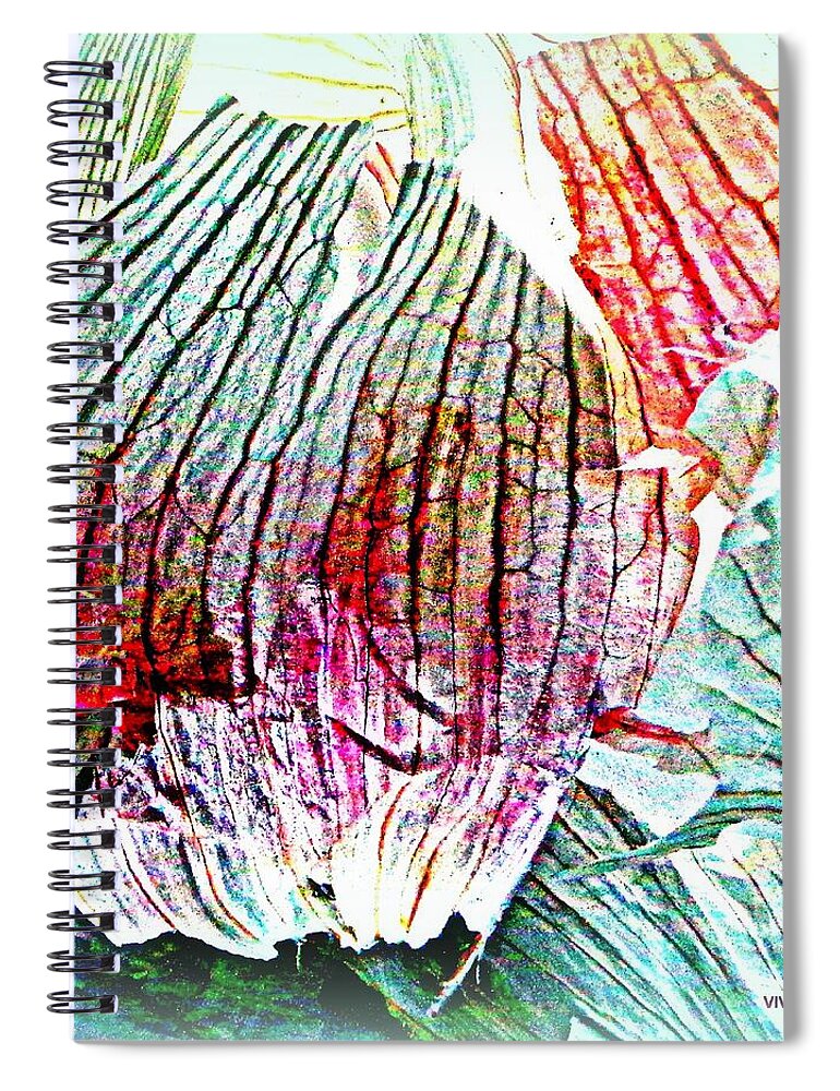 Garlic Peel Spiral Notebook featuring the photograph Garlic Abstract  Series by VIVA Anderson