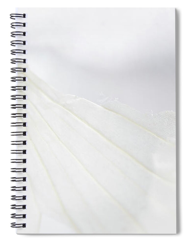 Onion Species Spiral Notebook featuring the photograph Garlic Wisper by Iris Richardson