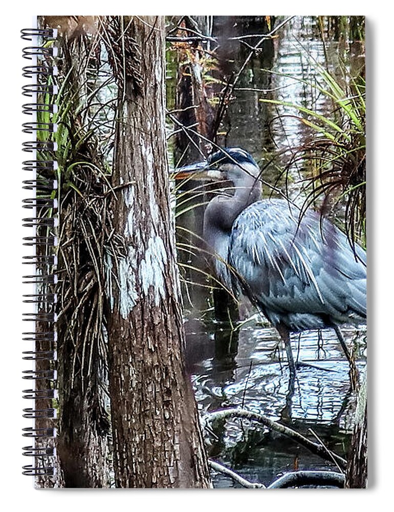 Great Blue Heron Spiral Notebook featuring the photograph GBH at Big Cypress Swamp by Scott Moore