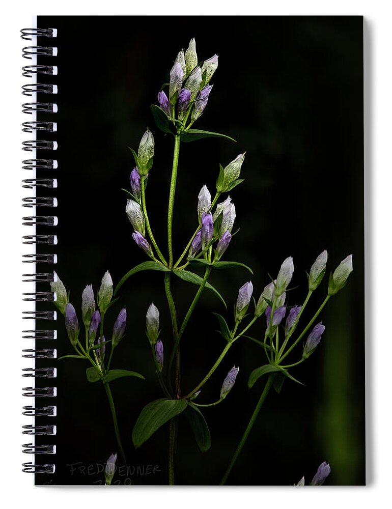 Gentians Spiral Notebook featuring the photograph Gentians by Fred Denner