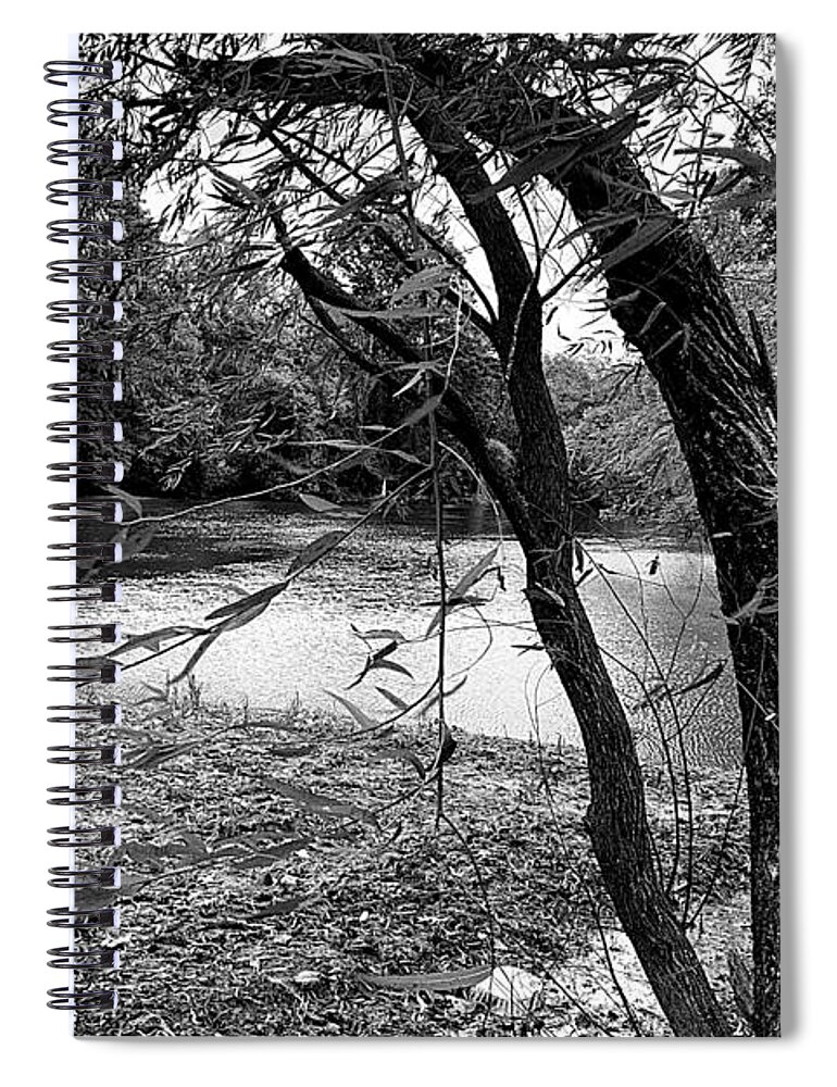 Greenville Spiral Notebook featuring the photograph Gentle Breeze in BW by Lee Darnell