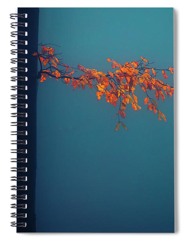 Balkan Mountains Spiral Notebook featuring the photograph Gentle Twig by Evgeni Dinev