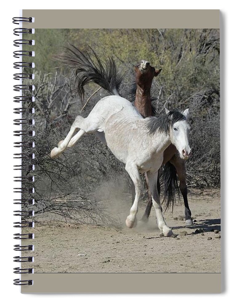 Salt River Wild Horses Spiral Notebook featuring the digital art Get Back by Tammy Keyes