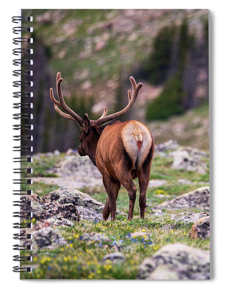 Elk Spiral Notebook featuring the photograph Get My Good Side by Alicia Glassmeyer