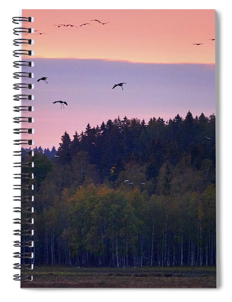 Finland Spiral Notebook featuring the photograph Getting down down down. Eurasian crane by Jouko Lehto