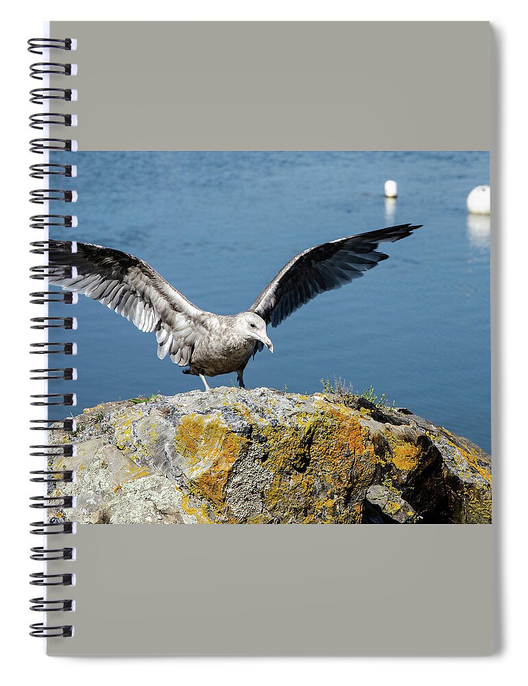 Seagull Spiral Notebook featuring the photograph Getting Ready for Takeoff by Kristin Hatt