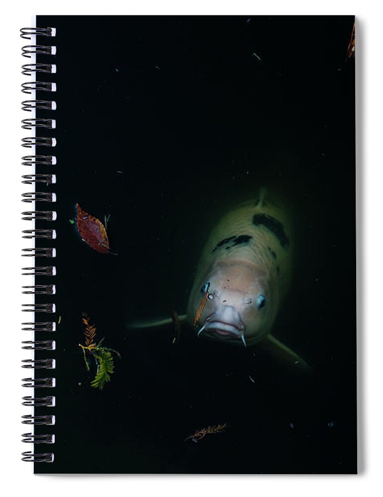 Koi Spiral Notebook featuring the photograph Ghost Koi II by Johnny Boyd
