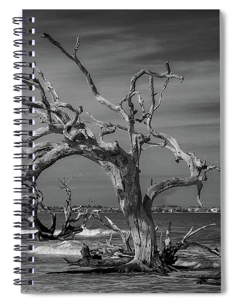 Monochrome Spiral Notebook featuring the photograph Ghost Tree by Stephen Sloan