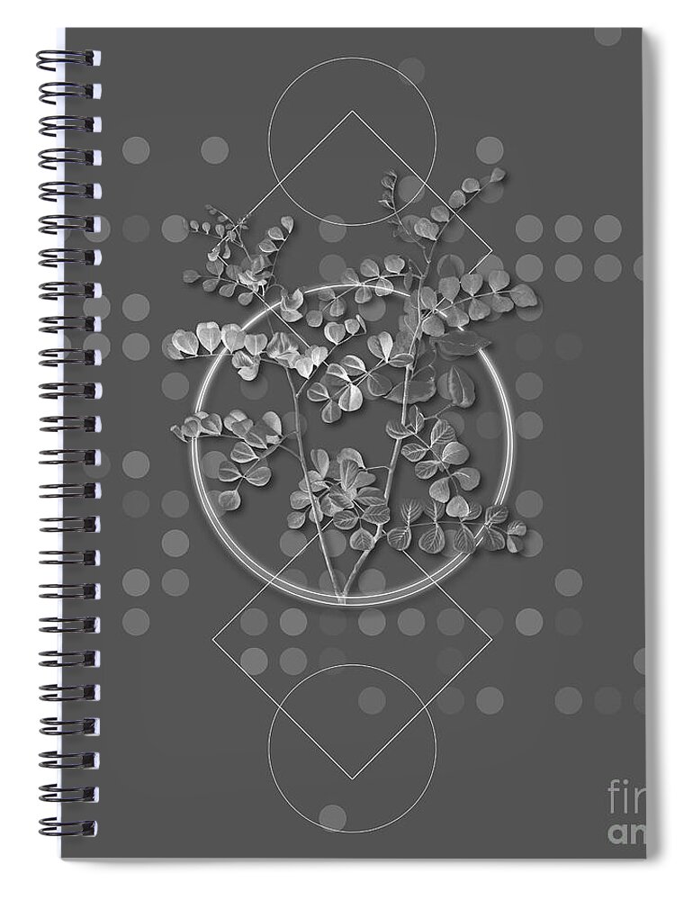 Flower Spiral Notebook featuring the mixed media Ghostly Gray Spotted Bladder Senna Botanical with Geometric Motif n.0424 by Holy Rock Design