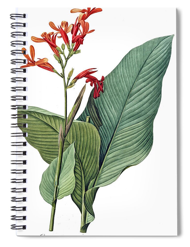 Giant Spiral Notebook featuring the digital art Giant Flower with Green Leafs by Long Shot