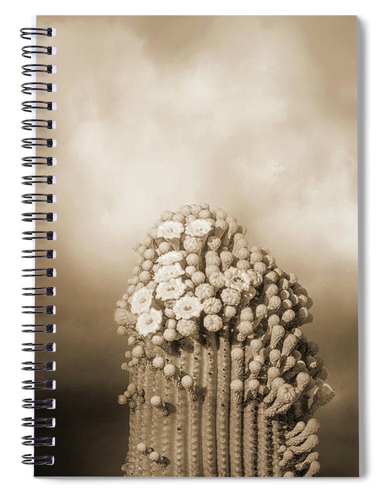 Saguaros Spiral Notebook featuring the photograph Giant Saguaros in Bloom Sepia by Elisabeth Lucas